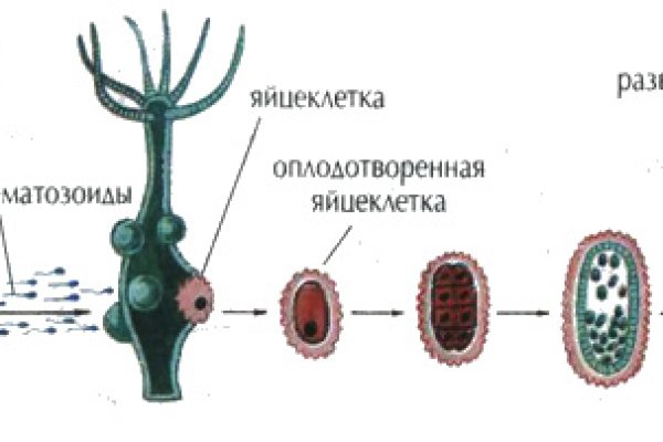 Кракен шоп даркнет