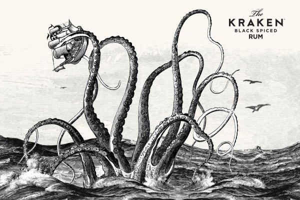 Kraken 24 top