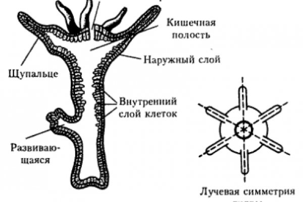 Аккаунты кракен