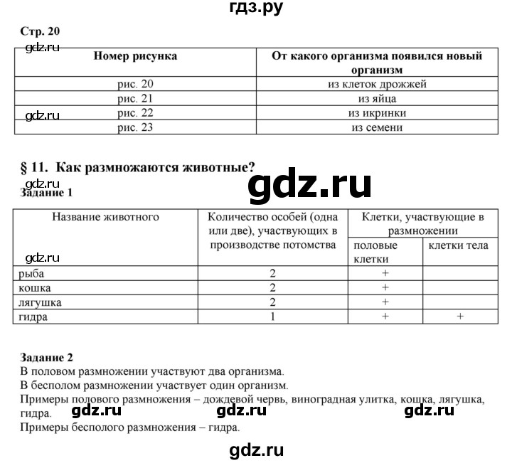 Что с кракеном сегодня сайт